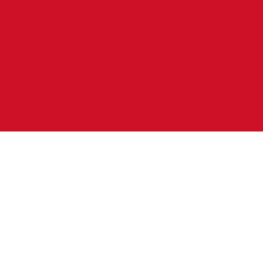 Indonesia VPN – Plugin for OpenVPN APK 3.4.2 Download