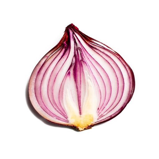 Onion Search Engine APK 2.4.6 Download