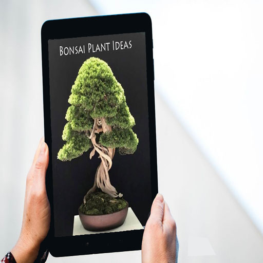 Bonsai Plant Ideas APK v1.0 Download