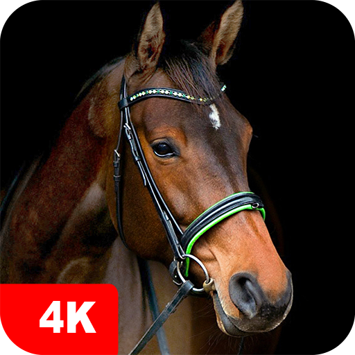 Horse Wallpapers 4K APK v5.5.0 Download