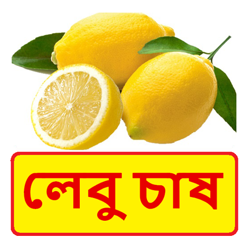 লেবু চাষের সঠিক পদ্ধতি ~ Lemon Cultivation APK v1.0 Download