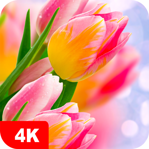 Tulip Wallpapers 4K APK v5.5.0 Download