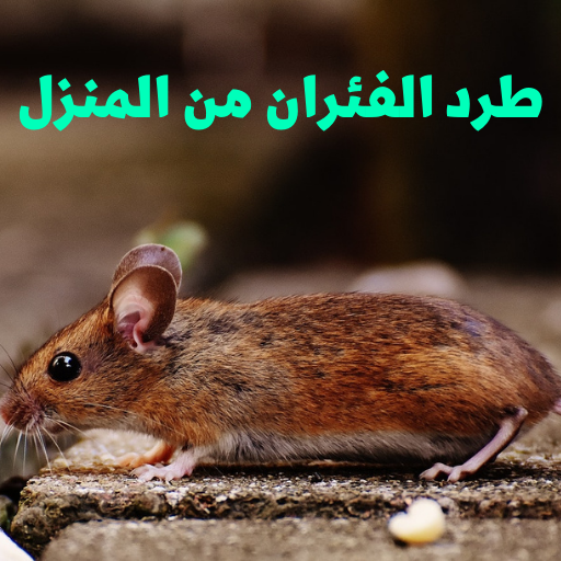 طرد الفئران من المنزل APK Download