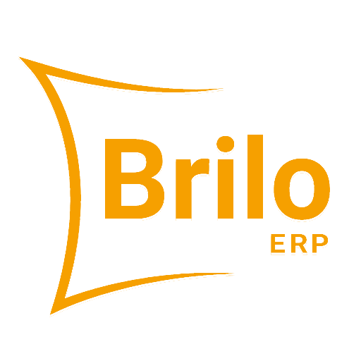 BRILO ERP APK Download