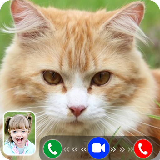 Cat Video Call/Fake Video Call APK Download