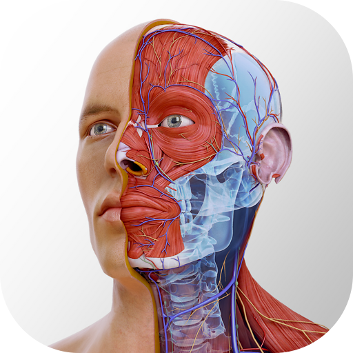 Complete Anatomy 2022 APK v8.0.1 Download