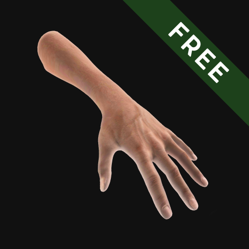 Hand Draw 3D Pose Tool FREE APK v2.18 Download