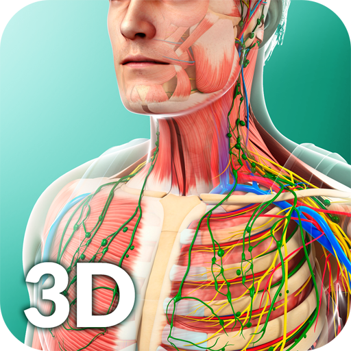 Human Anatomy APK v2.1 Download