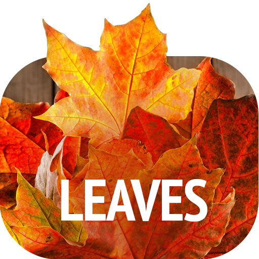 Leaves Wallpapers APK Download