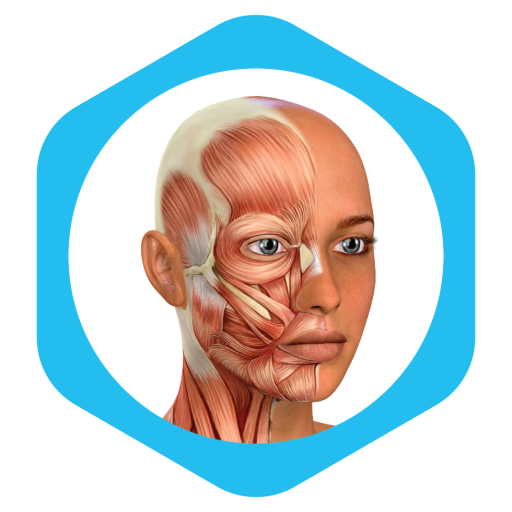 Medical Terminology Learning Quiz – Anatomy APK v0.1 Download