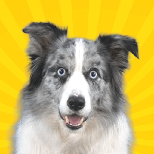 Real Pets™ by Fruwee APK Download