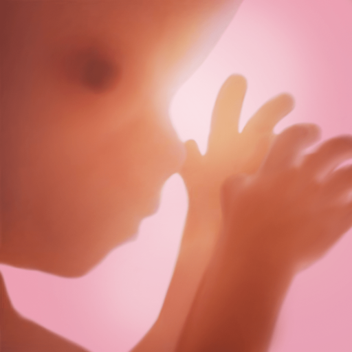 Schwangerschaft + | Tracker-App, jede Woche in 3D APK v5.14.1 Download