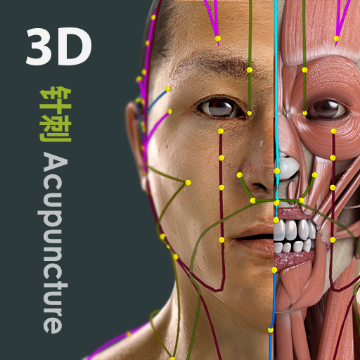 Visual Acupuncture 3D APK v3.3 Download