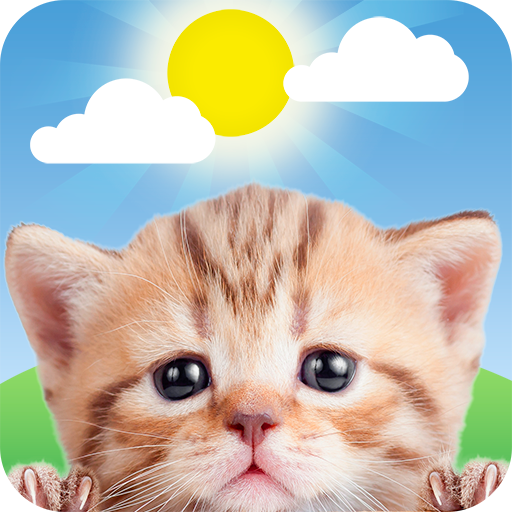 Weather Kitty – App & Widget Weather Forecast APK vVaries with device Download
