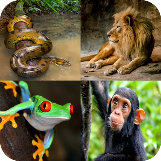Animal Quiz: Guess the Animal APK Download