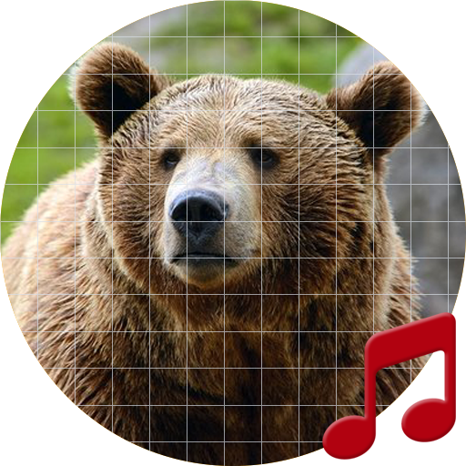 Bear Sounds ~ Sboard.pro APK Download