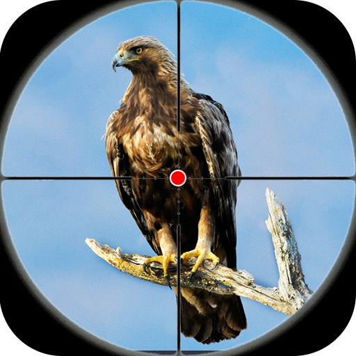 Desert Birds Sniper Shooter 3D APK Download