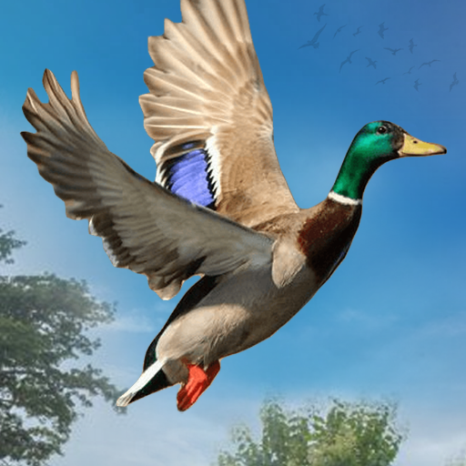 Duck Hunter 2021- Free games APK Download