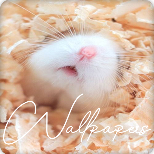 Hamster Wallpapers HD APK 5.2.0 Download