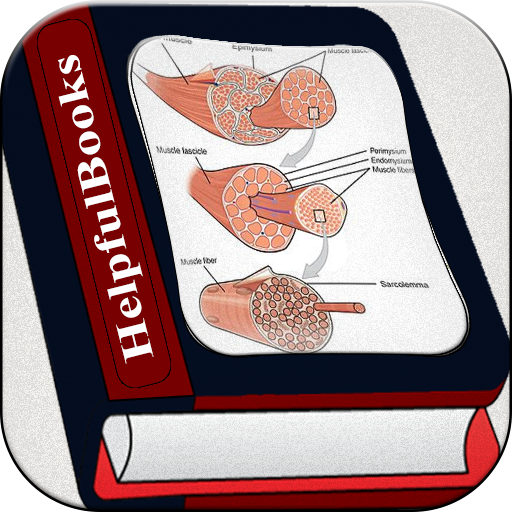 Human Muscle System APK Download