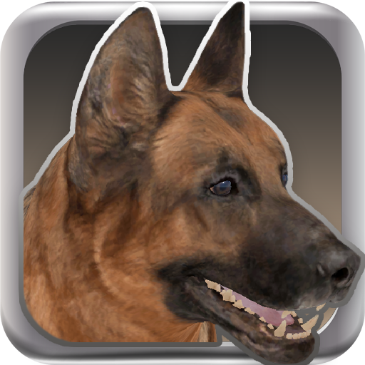 My Dog (Dog Simulator) APK Download