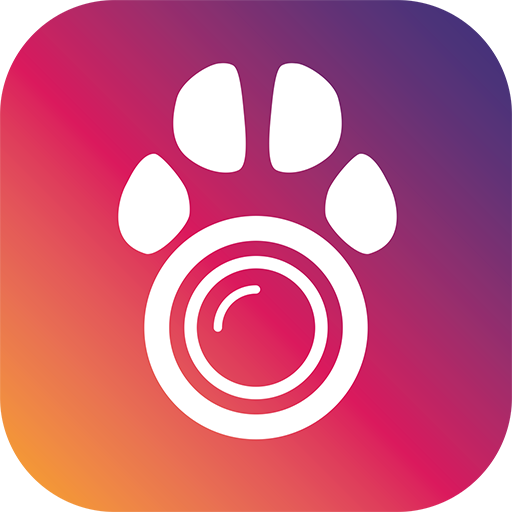 PetCam App – Dog Camera App APK Varies with device Download