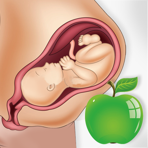 Pregnancy Tips Diet Nutrition APK Download