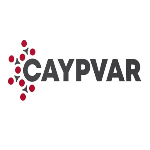 Caypvar APK 1.6.2 Download