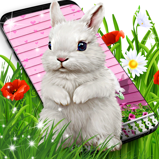 Cute bunny live wallpaper APK 19.8grad Download