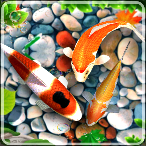 Koi Pet Fish Live Wallpaper APK 1.33 Download