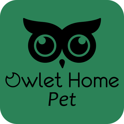 Owlet Home Pet APK 1.0.0 Download