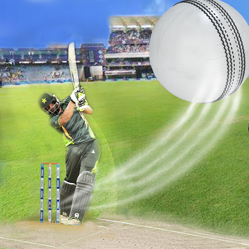 PSL Slider Puzzle Cricket game 2020 APK Download