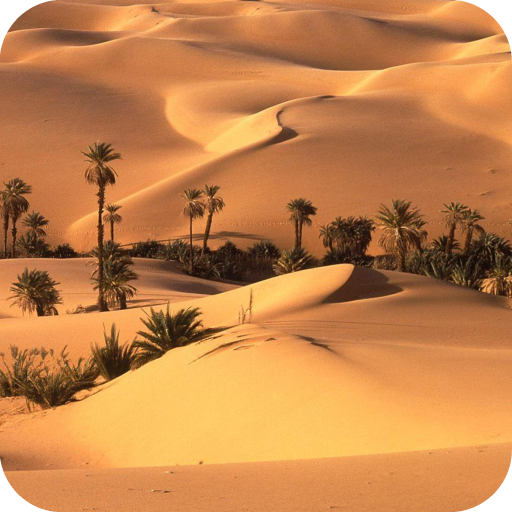 Desert HD Wallpaper APK 1.11 Download