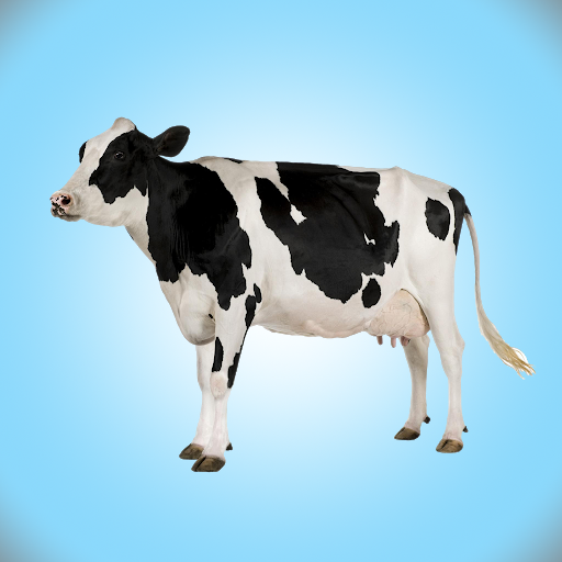 Flappy Cow APK 4 Download