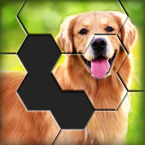 Hexa World Jigsaw – Free Puzzle Quest APK Varies with device Download