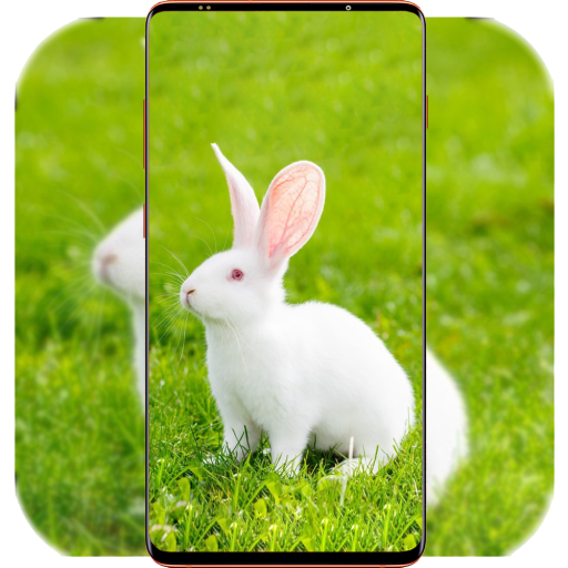 Rabbit Wallpaper HD APK 1.04 Download