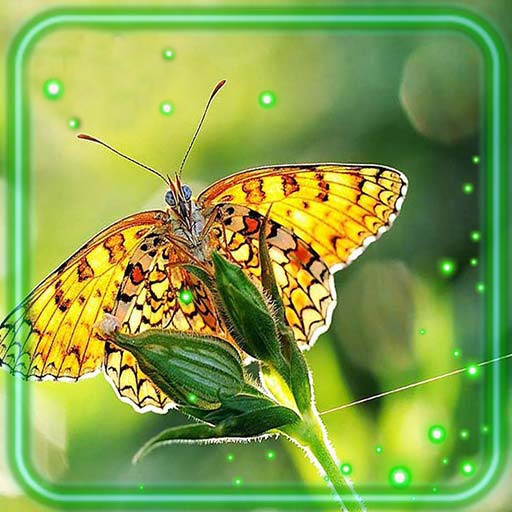 Butterflies and Flowers APK 1.3 Download
