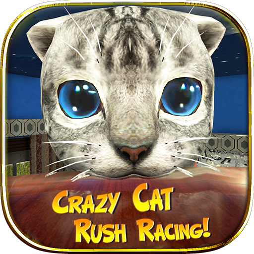 Crazy Cat Rush Racing Run Kitty Craft APK 1.0.6 Download