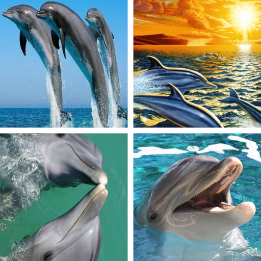 Dolphins HD Wallpapers APK 2.0.46 Download