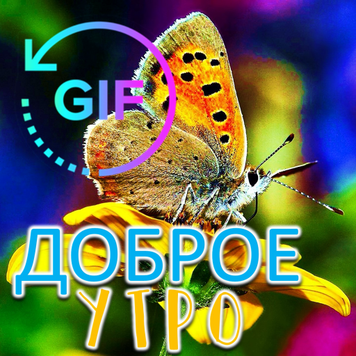 Good morning Gif Russian Wish APK 2.2.2 Download