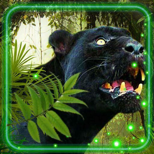 Panther Jungle Live Wallpaper APK 1.3 Download