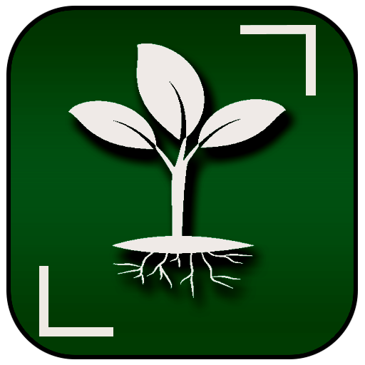 Plant Identifier Finder Camera APK 1.1.1 Download