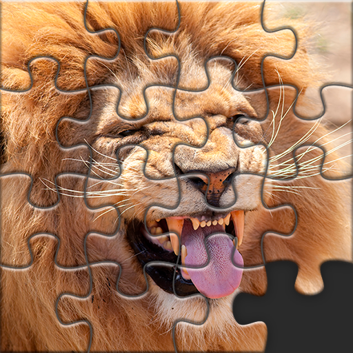 Puzzles for Adults no internet APK Varies with device Download