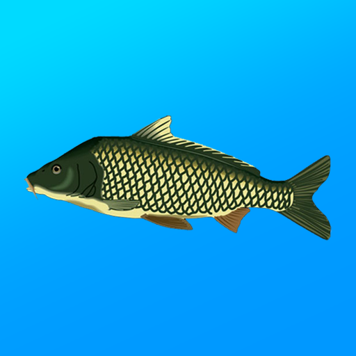 True Fishing. Simulator APK 1.15.1.726 Download