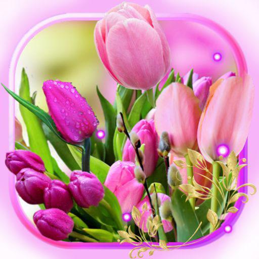 Tulips Love Live Wallpaper APK  Download - Mobile Tech 360